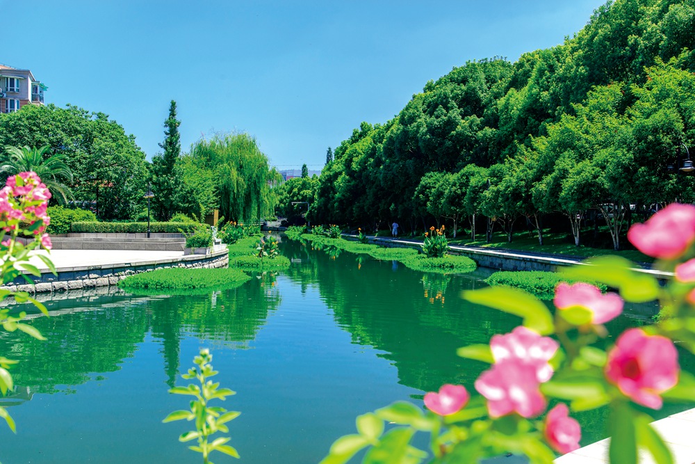 杭州新开河公园绿化养护工程